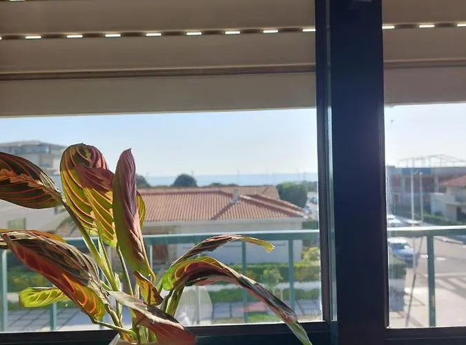 Appartement Azul Boutique *